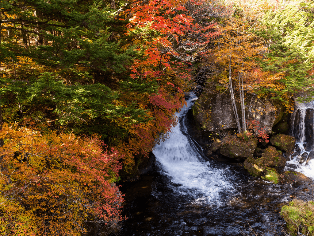 Untitled design - 2025-09-10T144846.230 (1)