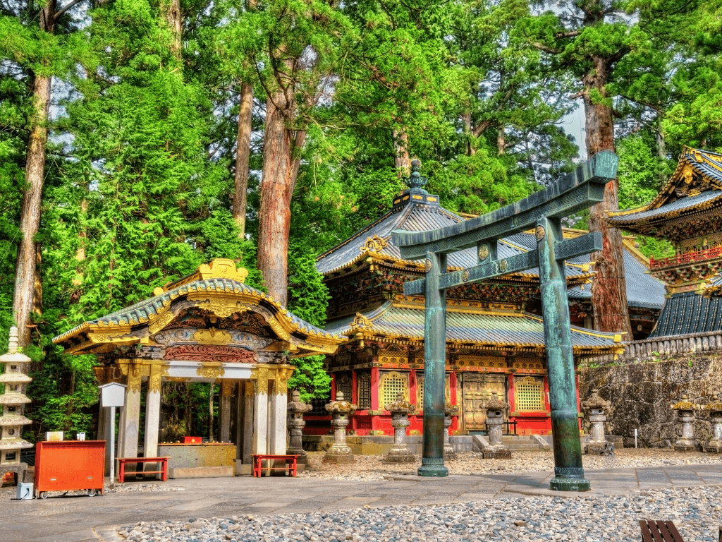 Untitled design - 2025-09-10T144952.084 (1)